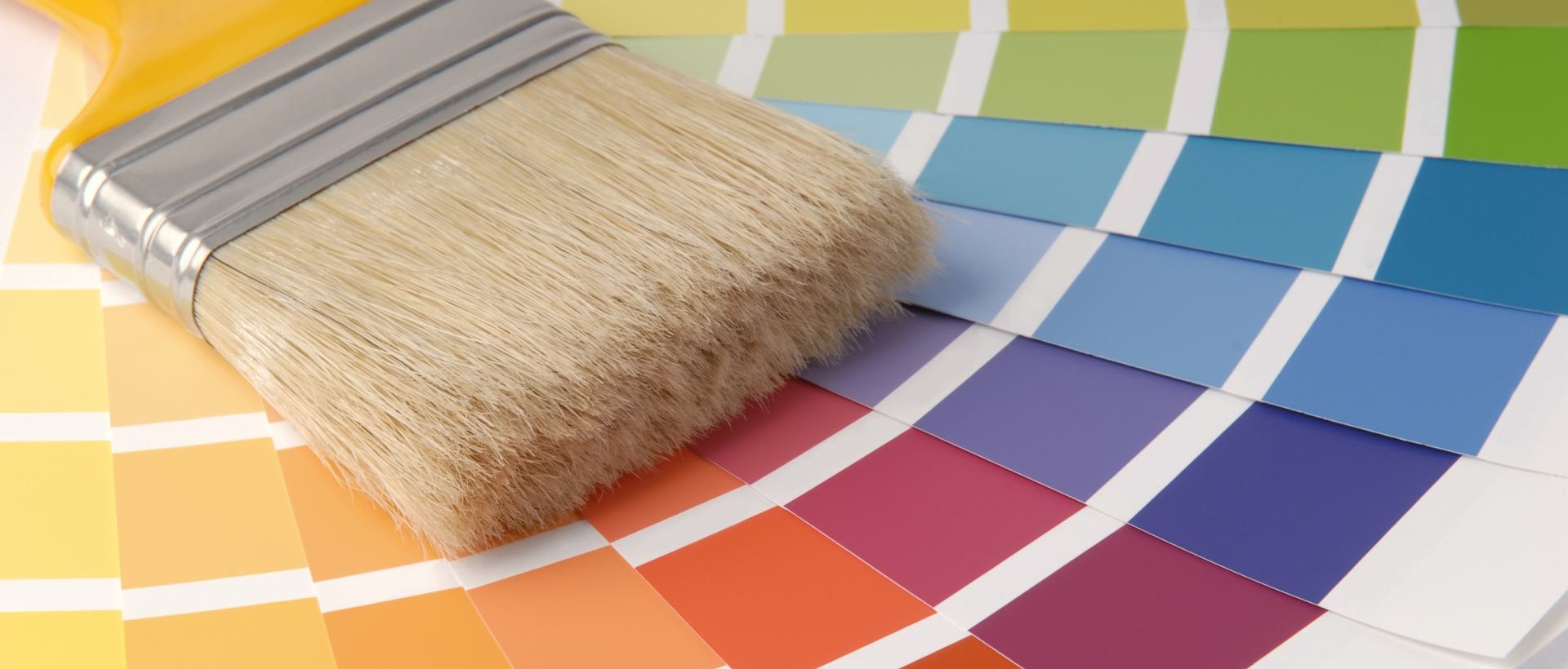 Painter EN3